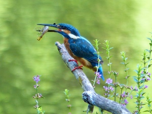 2022P-005子育て真っ最中