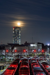 2022P-006ハンターズムーンに魅せられて