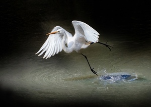2022P-010冬池のバレリーナ