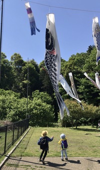 2022P-016新治の森に鯉!(来い)