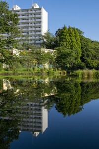 2022P-019水影の美