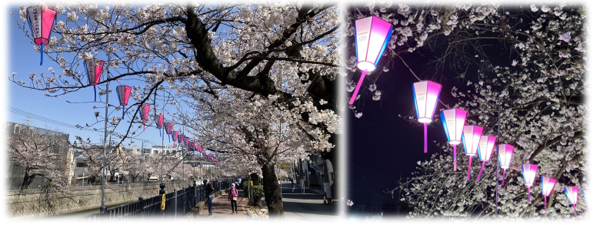 文字が書かれたぼんぼりと掲出されたぼんぼりの写真