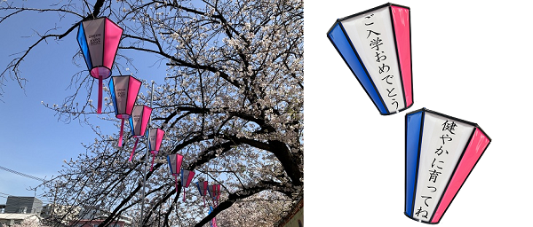 ぼんぼりの写真