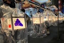 飾られた子ども絵どうろうの写真