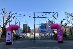 みなみ桜まつりエアアーチの写真