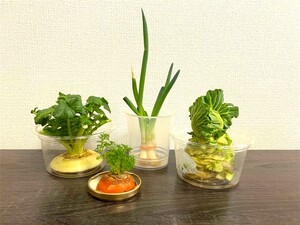 リボベジの画像