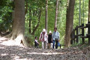 健康づくりウォーキング