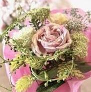 シャンフルーリーイズミ