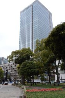 チューリップ画像３