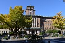 11月26日のイチョウの写真４