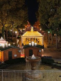 イチョウとイルミネーション4