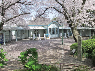 山手公园　桜