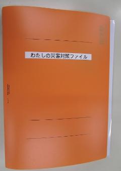 Cover of disaster file