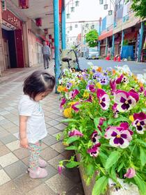 一次選考通過作品16