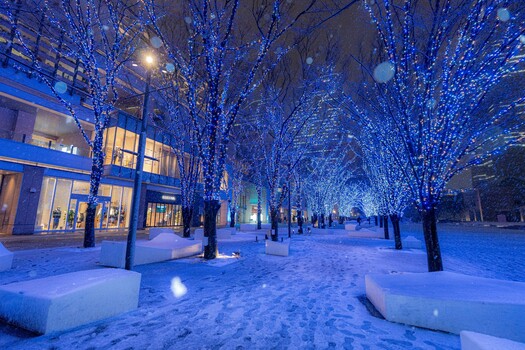 入賞作品_花紫の夜