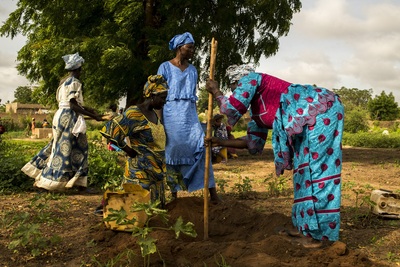 国際連合食糧農業機関（FAO） 駐日連絡事務所のSDGs達成に向けた取組の紹介画像