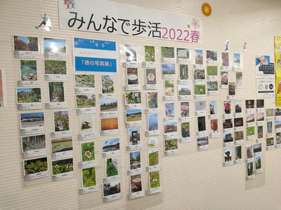 富士通コミュニケーションサービス株式会社のSDGs達成に向けた取組の紹介画像