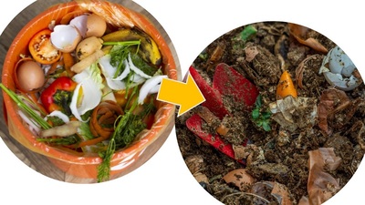 C賞　コンポストセット