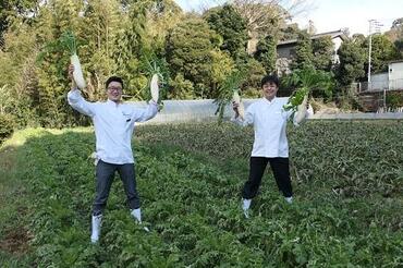 「ヤサイクル」の取り組みによるCO2削減効果