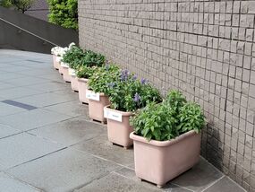 Photograph of planters at West Sports Center