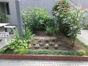 Photograph of flower bed of West District Center