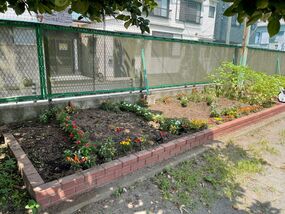 Photograph of flower bed in Nisimae Elementary School