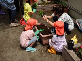 Photo of flower planting in Minamisengen Nursery center