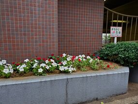 Photograph of flower bed of Miyazaki Community Care Plaza