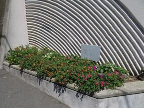 Photograph of flower bed of Higashi Elementary School
