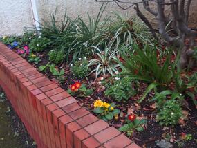 Photograph of flower bed at Inaridai Elementary School