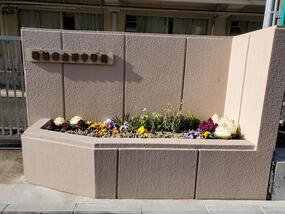 Photograph of flower bed in Nisi Junior High School