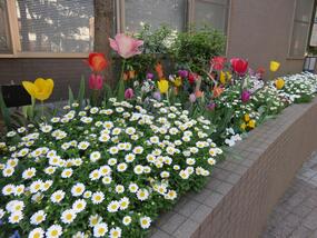 Photograph of flower bed in Fujidana community care plaza