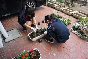 老松中学校の花植えの写真