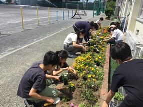 一本松小学校の花壇の写真