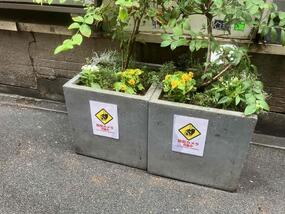 横浜駅西口商店会連合会プランターの写真
