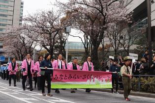 Hình ảnh cuộc diễu hành Sakura