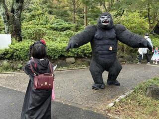 巨大ゴリラが待ち構えます(笑)