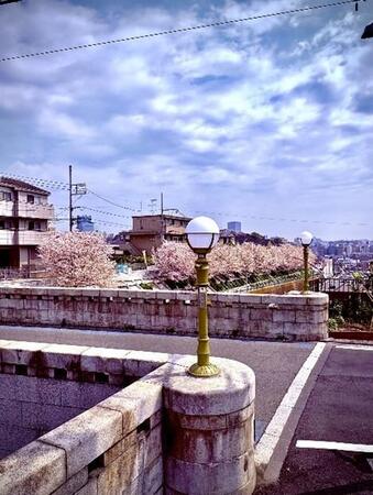 新しく設置された霞橋灯具と共に 