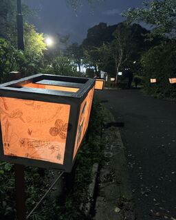 04来場者を迎える世界に一つのぼんぼり