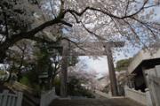 Iseyama Shrine