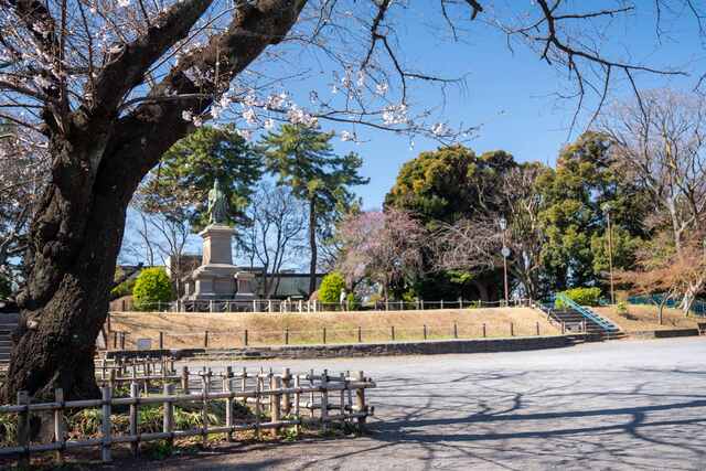 2026年3月24日の掃部山公園の桜