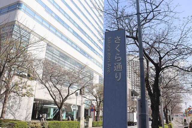 2026年3月27日のさくら通りの桜