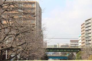 3月3日的石崎川散步的風景照片(看京急線)