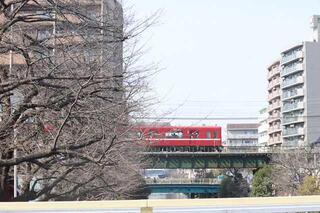 3月10日的石崎川散步的照片