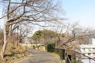 3월 10일의 카몬야마코엔(공원)