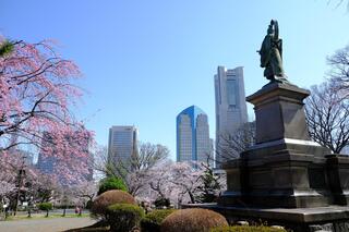 3월 28일의 카몬야마코엔(공원)의 벚꽃의 사진