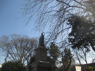 This is a photo of the weeping cherry tree in Kamonyama　Park on March 14.
