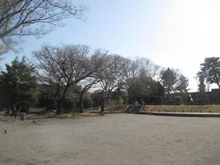 This is a picture of Kamonyama　Park on March 14th.