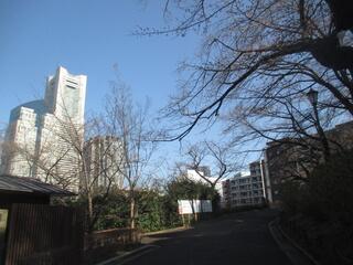 Đây là bức ảnh chụp Công viên Kabeyama vào ngày 14 tháng 3.