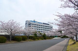 横浜イングリッシュガーデンの桜の写真